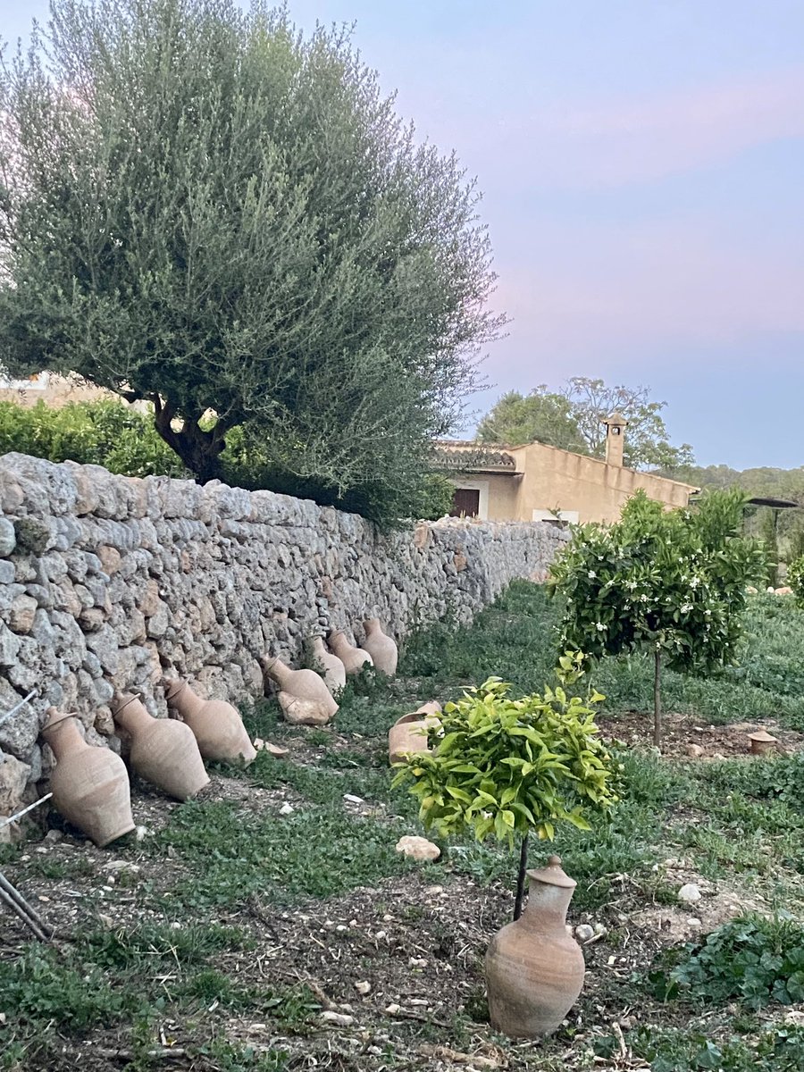 Nicole de B tweet media