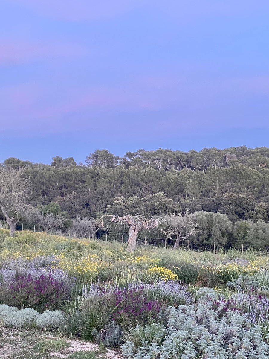 Nicole de B tweet media