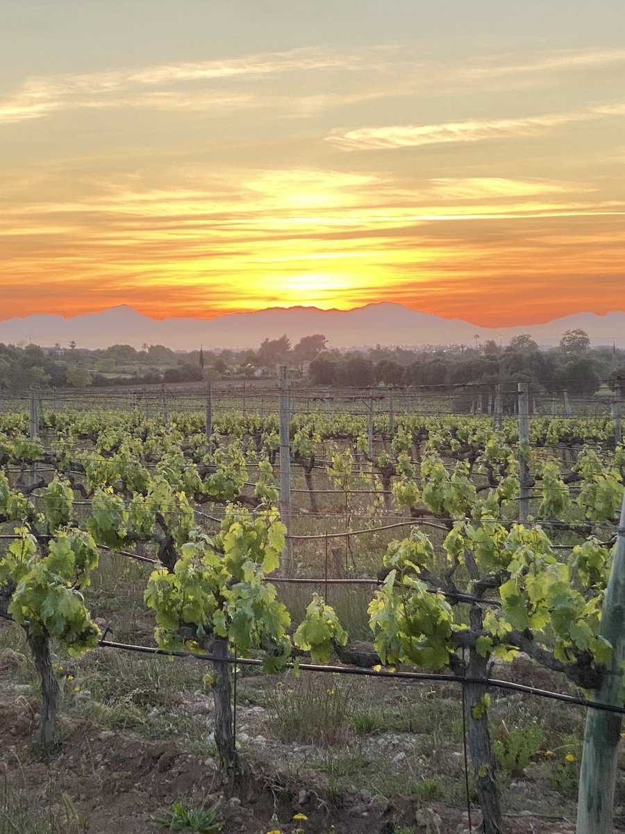 Nicole de B tweet media