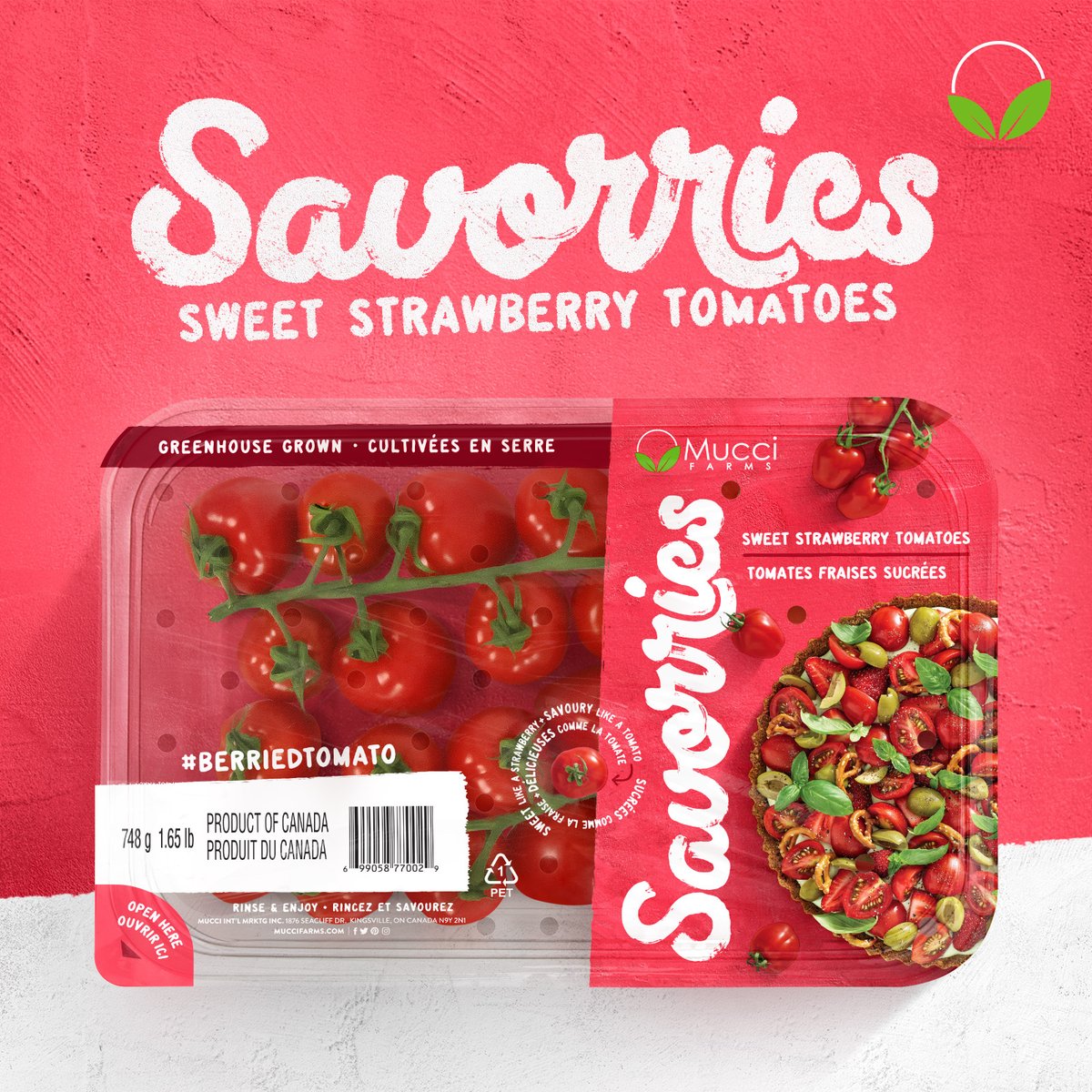 CPMA_ACDFL (@cpma_acdfl) on Twitter photo #CPMA2023 New Product Showcase, presented by <a href="/CanadianGrocer/">Canadian Grocer</a>
Indulge your tastebuds with this strawberry tomato from <a href="/MucciFarms/">Mucci Farms</a>! This vine-ripened, premium variety is so flavourful! Sweet like a strawberry, savoury like a tomato, a foodies’ dream! #CPMA2023 New Product Showcase, presented by <a href="/CanadianGrocer/">Canadian Grocer</a>
Indulge your tastebuds with this strawberry tomato from <a href="/MucciFarms/">Mucci Farms</a>! This vine-ripened, premium variety is so flavourful! Sweet like a strawberry, savoury like a tomato, a foodies’ dream!