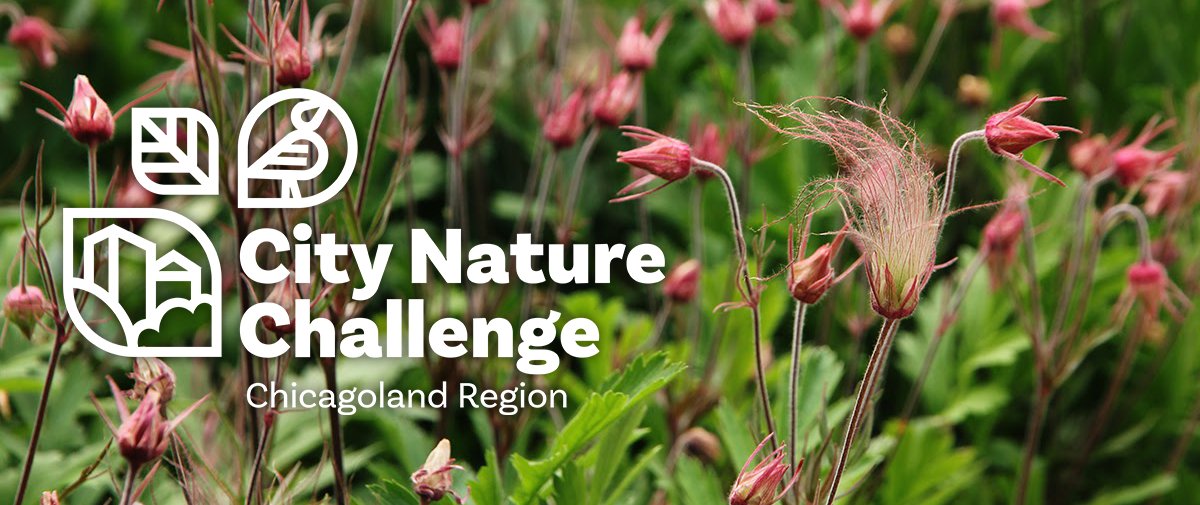 Chicago Wilderness Alliance tweet media