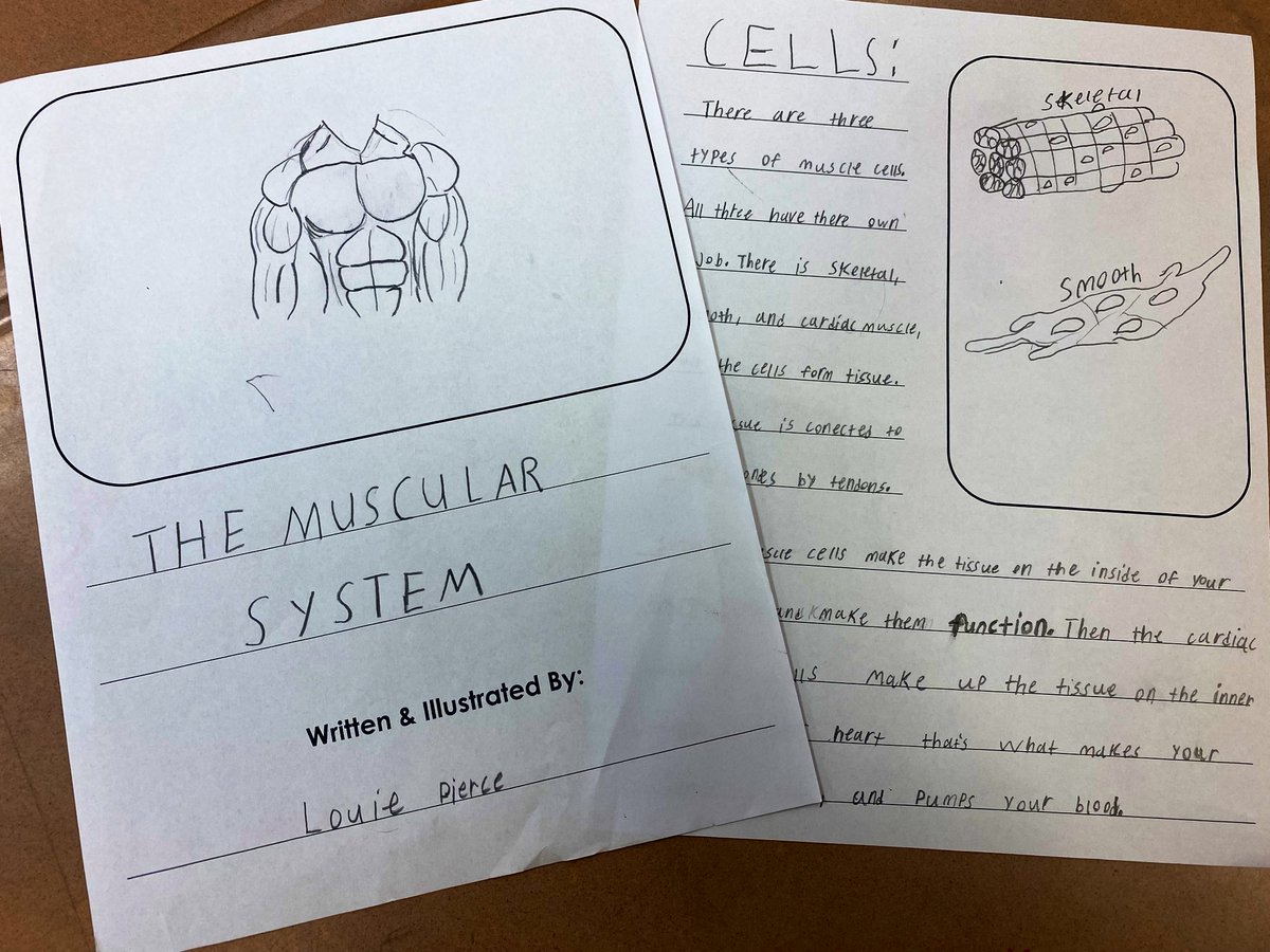 Marissa Hamory tweet media