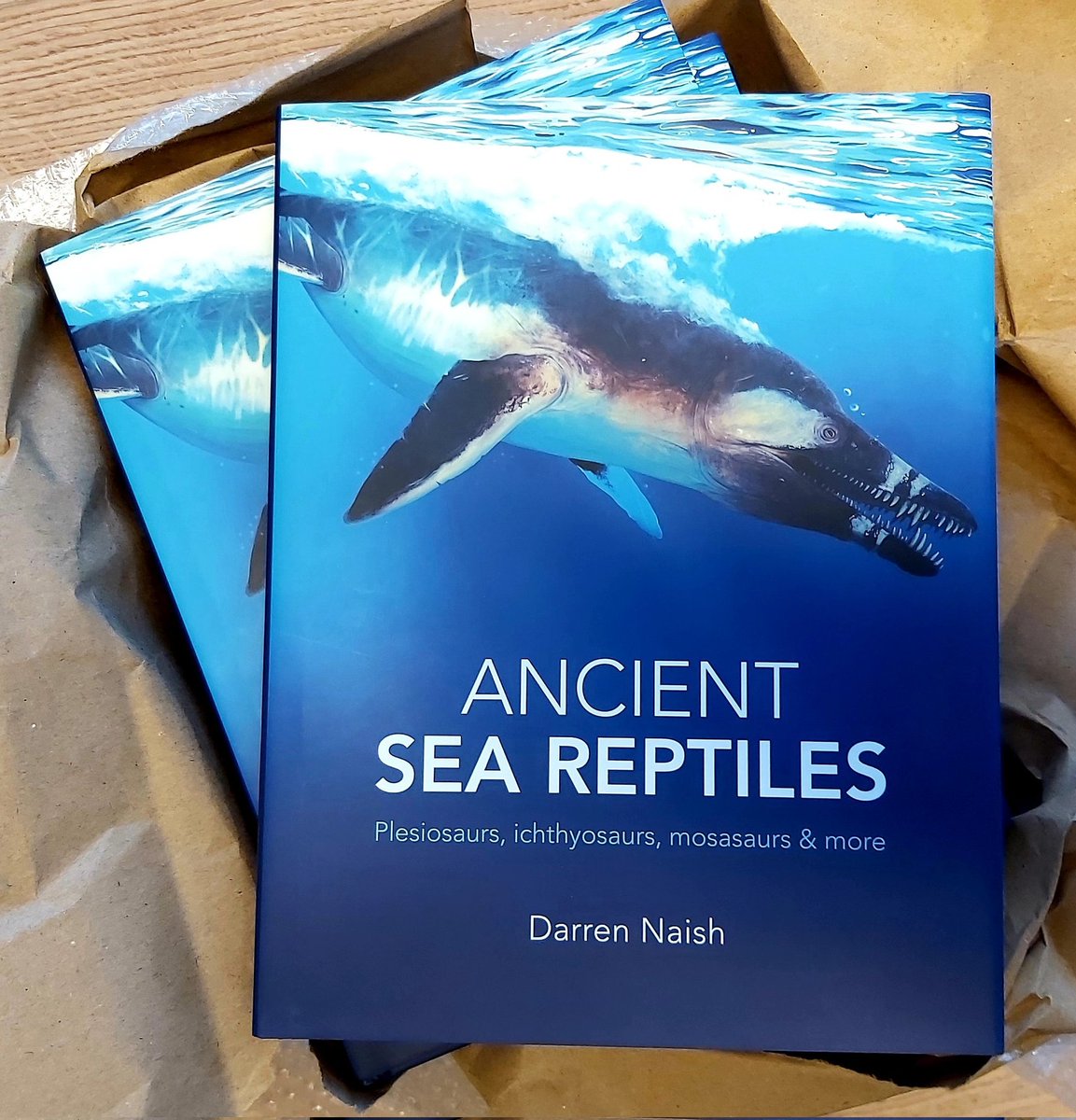 Darren Naish tweet media