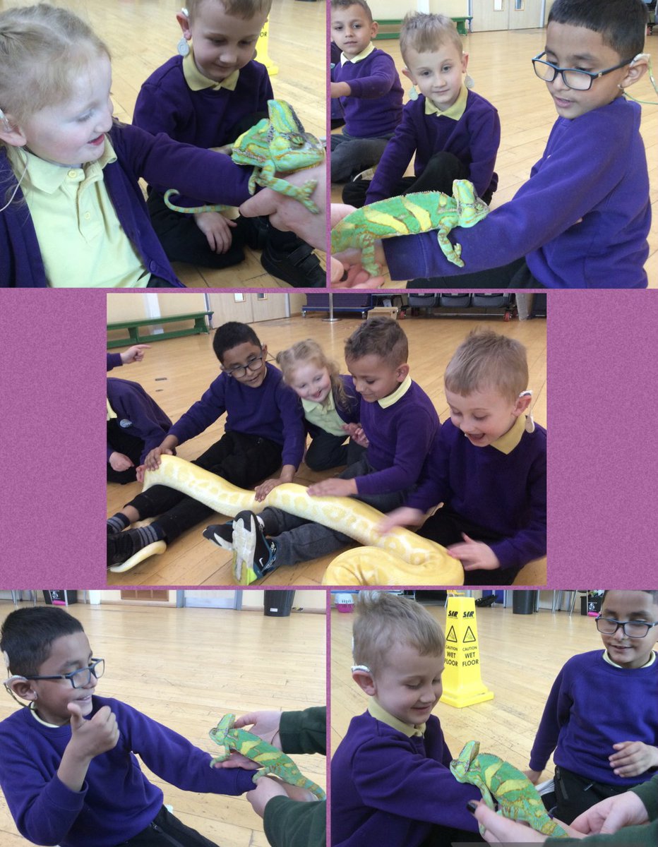NantCelynDRB's tweet photo. We had a fabulous visit from @Ani_Interactive today. It was a lovely experience to handle the animals. 

@nantcelynschool https://t.co/fSgpde6cQY