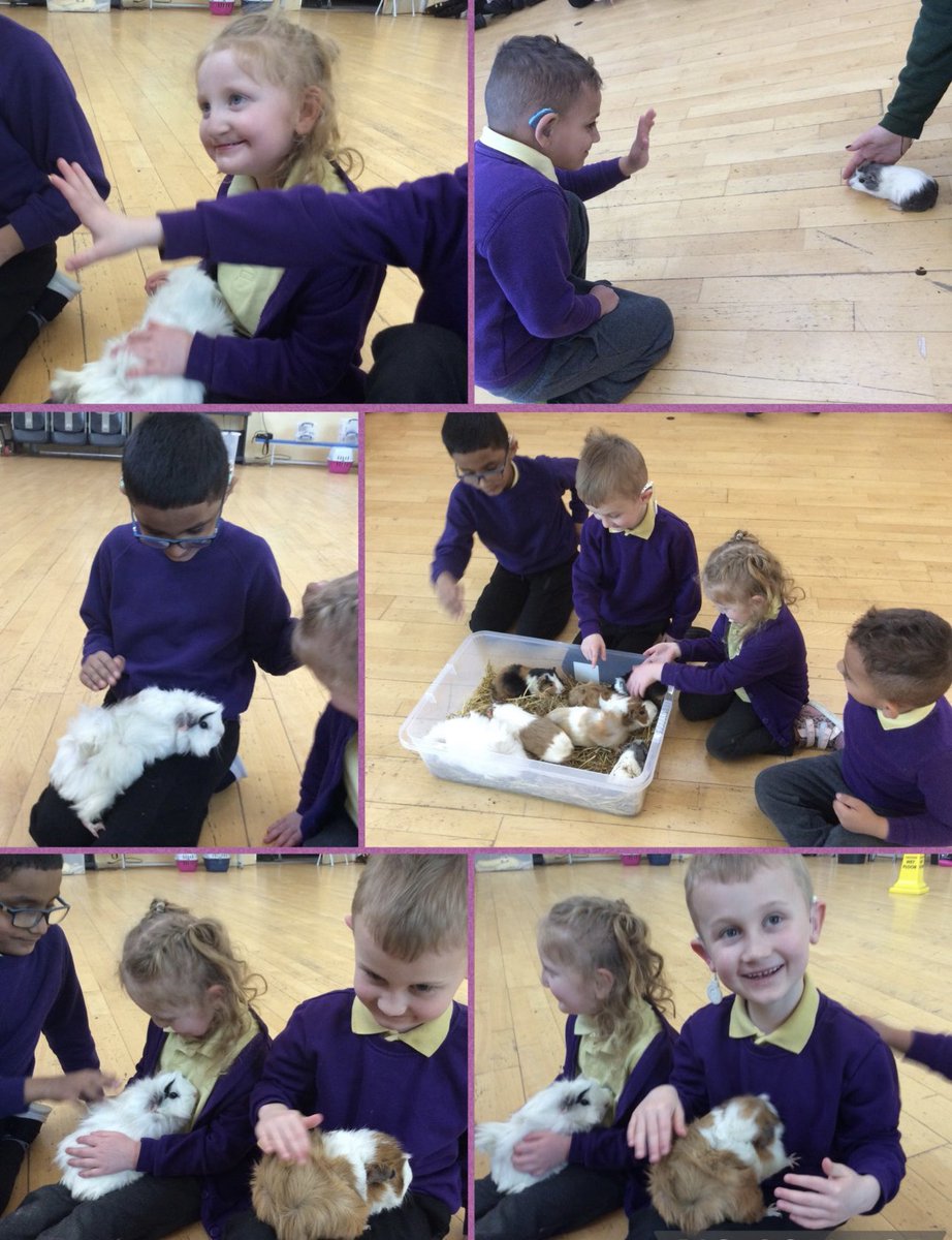 NantCelynDRB's tweet photo. We had a fabulous visit from @Ani_Interactive today. It was a lovely experience to handle the animals. 

@nantcelynschool https://t.co/fSgpde6cQY