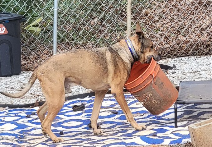 where's he goin with that bucket https://t.co/vWd0SGpCyK