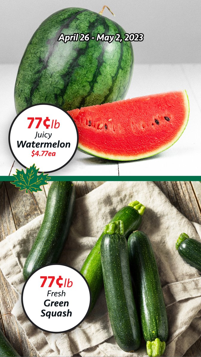 Shady Maple tweet media