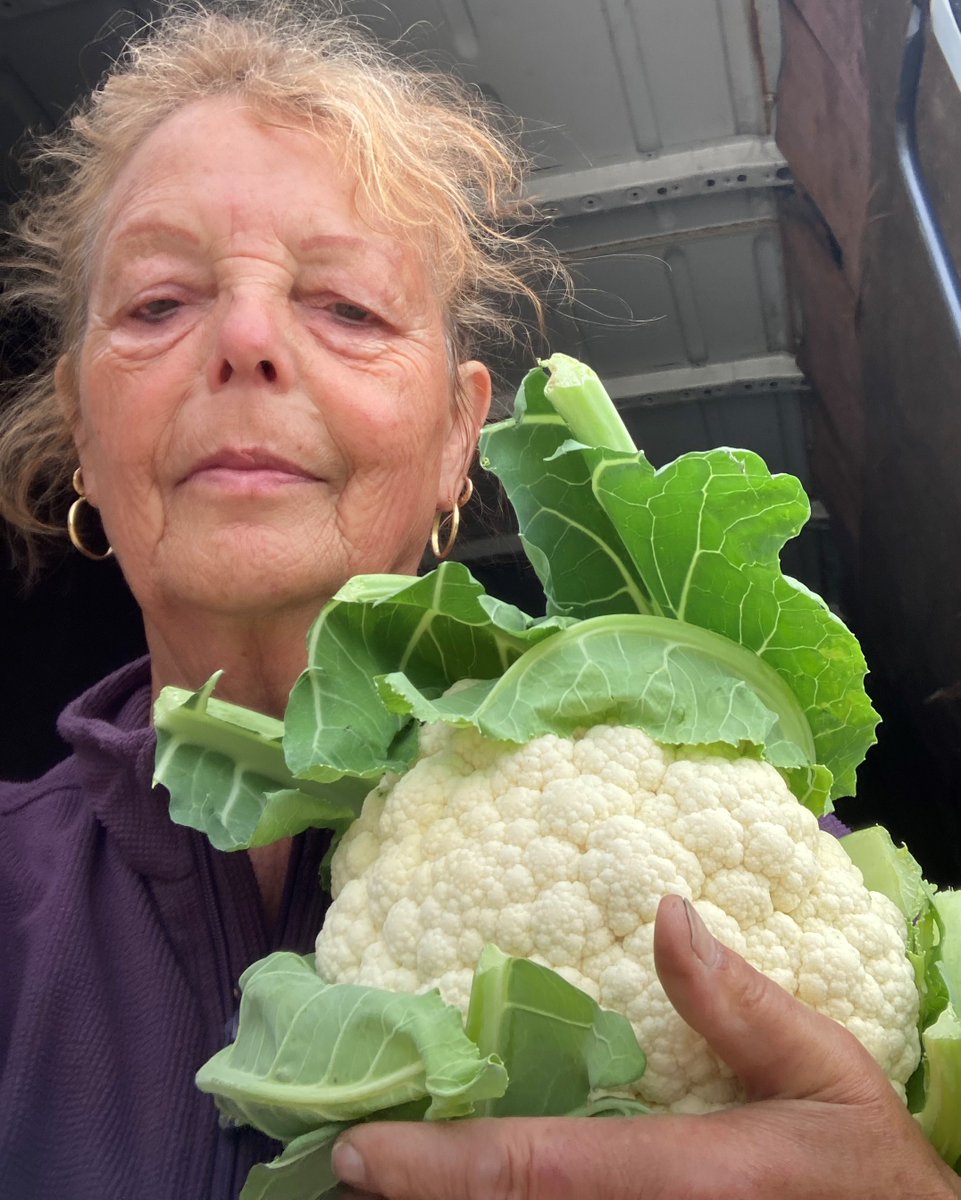 NEW #ORGANIC FRUIT&amp;VEG THIS WEEK!🍐🍅🥑 - mailchi.mp/b25856c7e3a0/o…