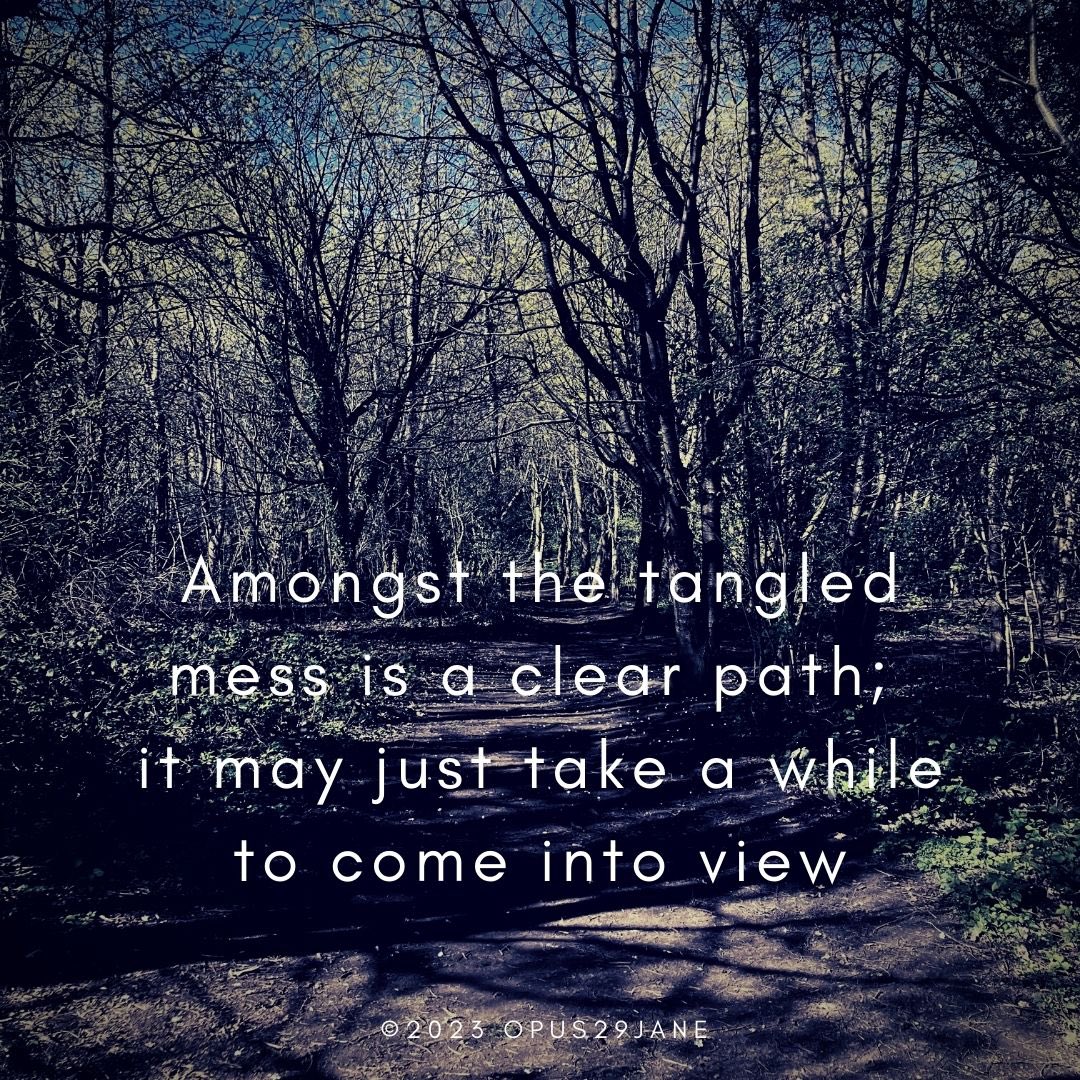 Dr Jane Booth tweet media