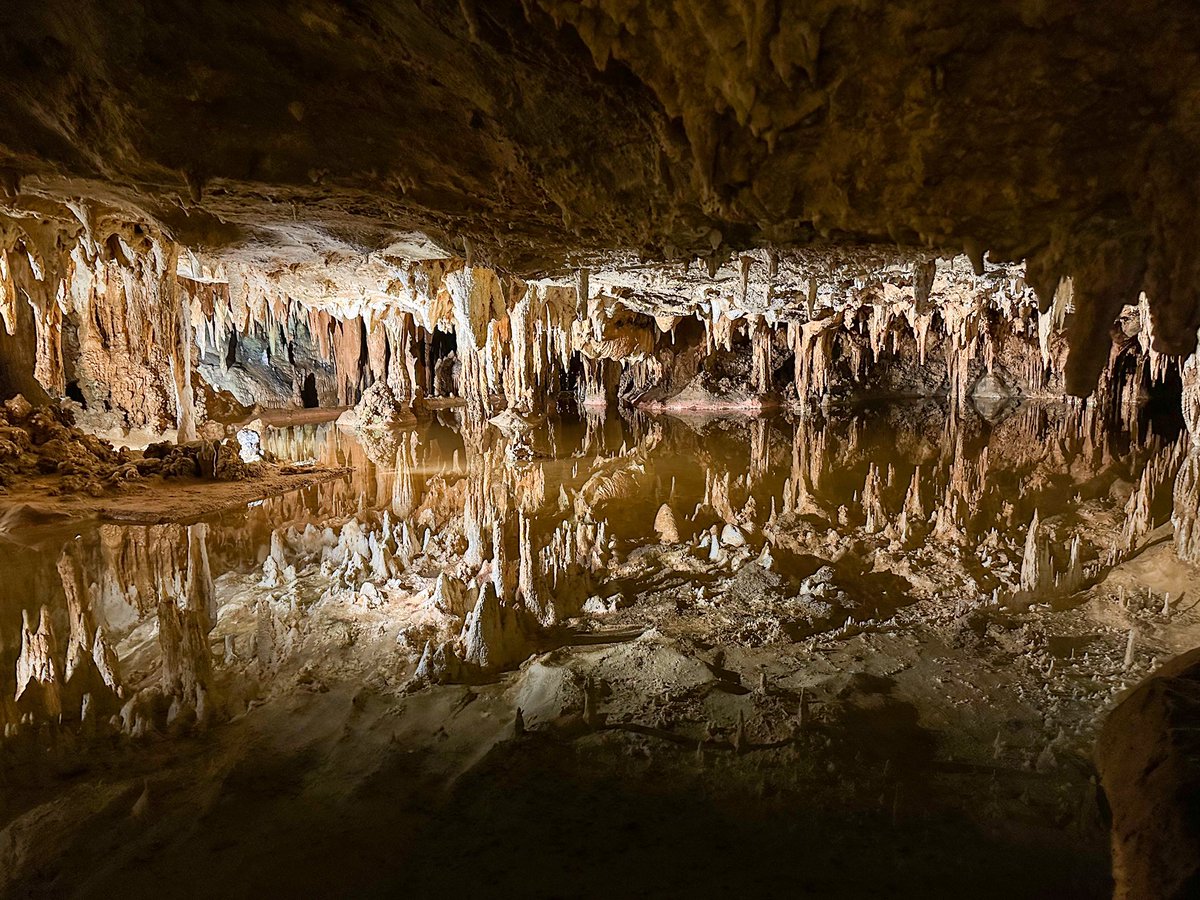 Taylor Argue tweet media