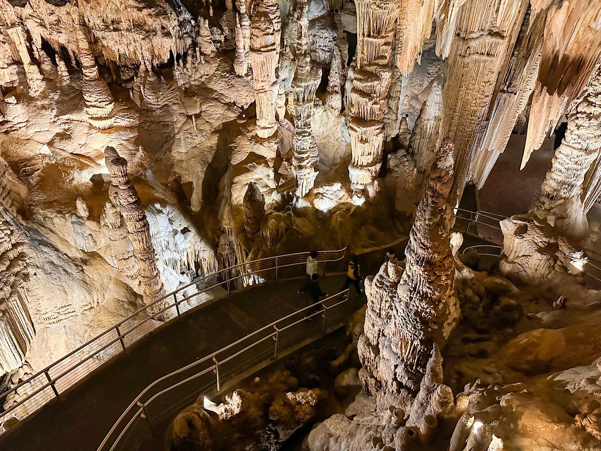 Taylor Argue tweet media