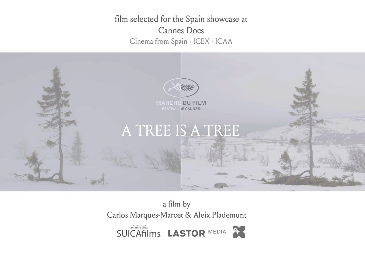 suicafilms's tweet photo. 'Un árbol es un árbol' de Carlos Marques-Marcet & Aleix Plademunt será una de las cuatro películas seleccionadas para el Spanish showcase en Cannes Docs del Marché du Film @mdf_cannes.
@lastormedia #AXfilms @ICEX_ @CineICAA @apunt_media @ElasticaFilms https://t.co/qFLOgcYSCP