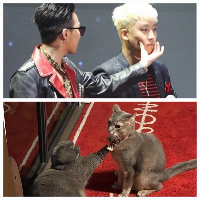 GD and literally any other member 💕💕💕  #GDRAGON #BIGBANG  @YG_GlobalVIP https://t.co/7wncd8huOJ<a href="/tag/gdragon"class="tags">#GDRAGON</a><a href="/tag/bigbang"class="tags">#BIGBANG</a>