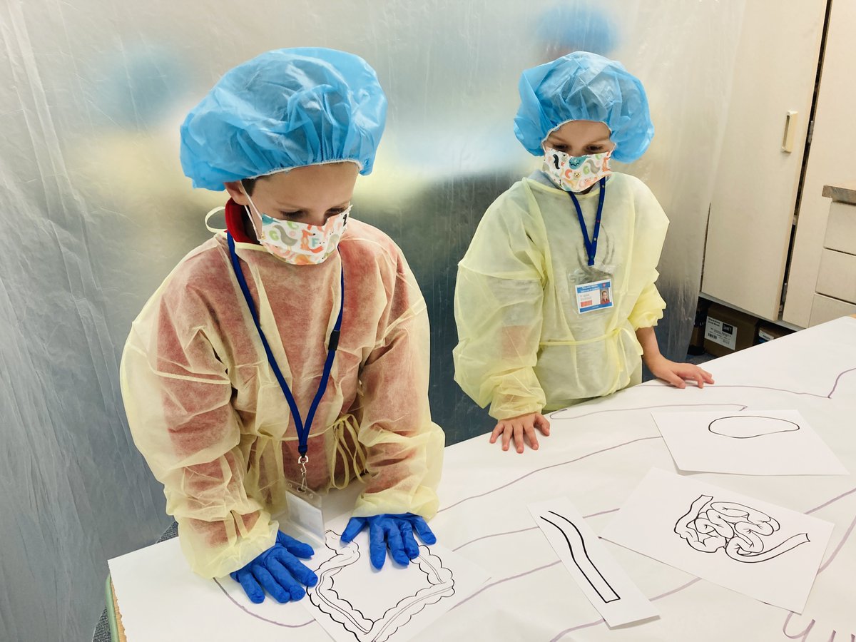 mrsphillippo's tweet photo. Ss were assigned an OR and a team of surgeons, tasked with putting together the digestive system of their paper patient! They needed to correctly position, label, and use arrows to show the path food takes through our body. We had a blast! #NPpride #SLPPantherProud https://t.co/xu9iQQsvyW