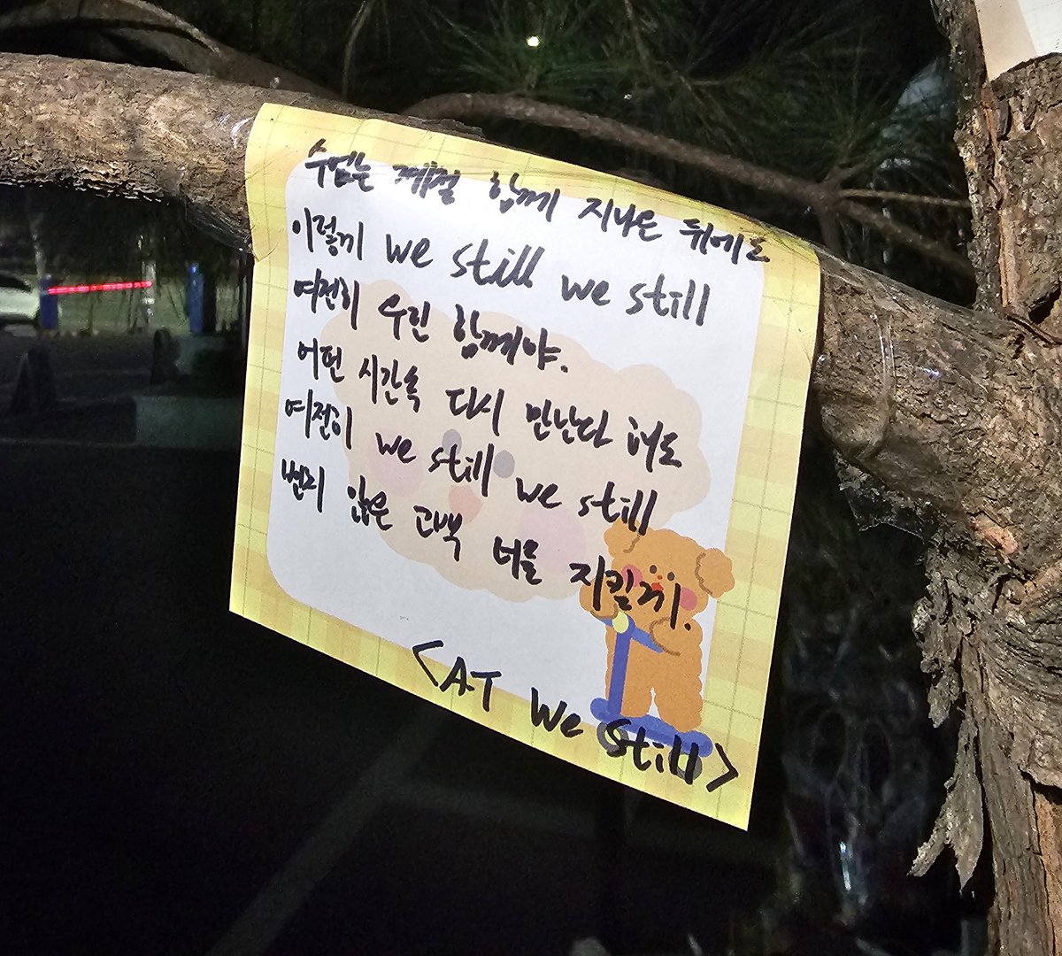 멋쟁이큐리 tweet media