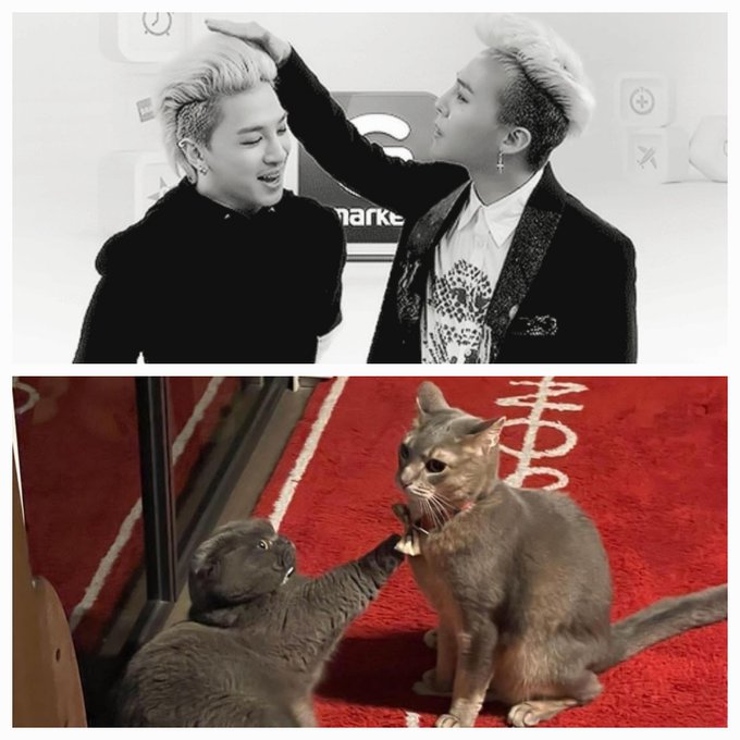 Literally any other BB member  💕💕💕  #GDRAGON #BIGBANG  @YG_GlobalVIP https://t.co/9wVUOXe6mt<a href="/tag/gdragon"class="tags">#GDRAGON</a><a href="/tag/bigbang"class="tags">#BIGBANG</a>