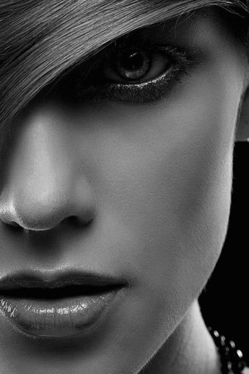 B & W Fantasies tweet media