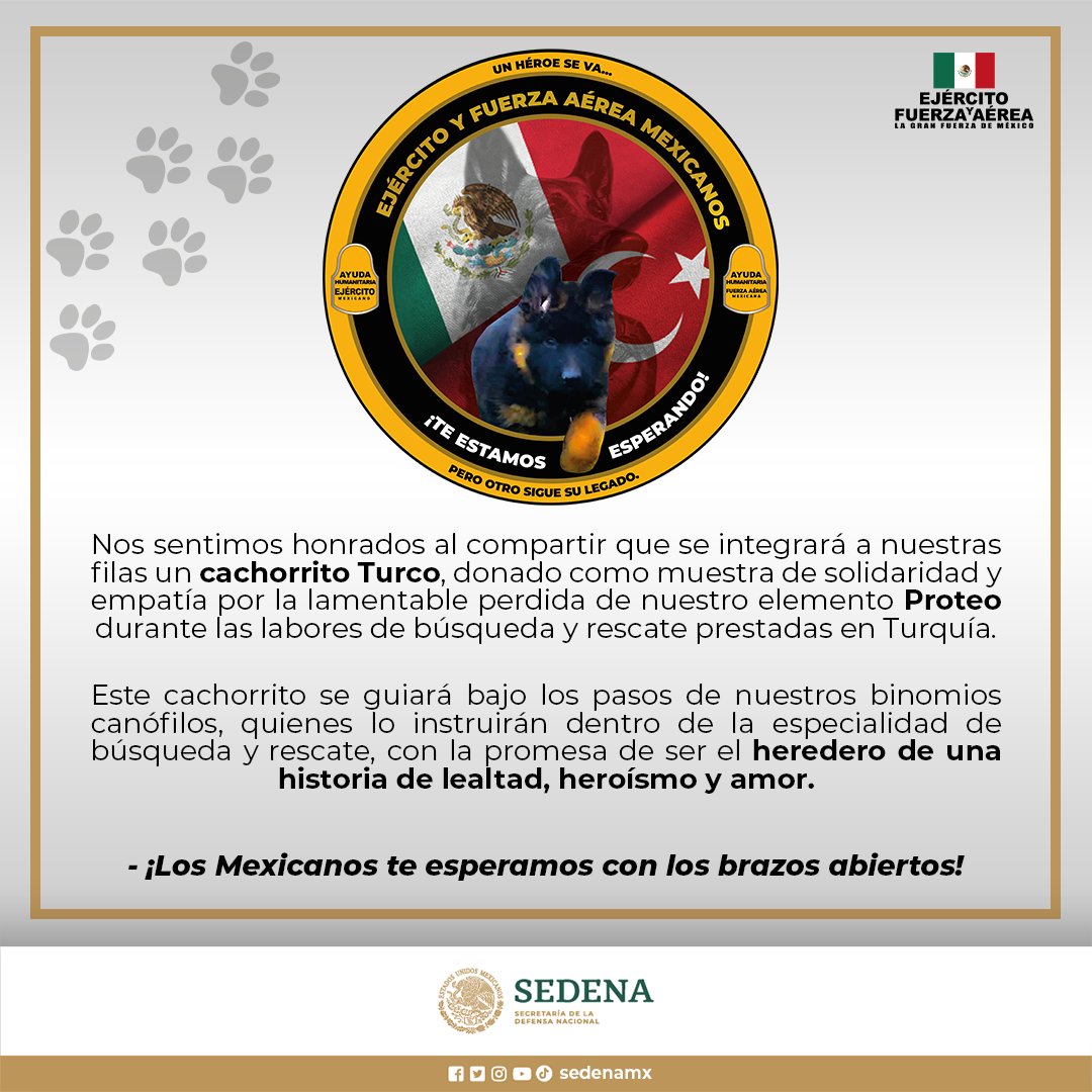 ⚠️#Atención #ÚltimaHora

Un #héroe se va, pero otro sigue su #legado ¡#Bienvenido #cachorrito!
#México y #Turquía, unidos demostrando que la #ayudahumanitaria no tiene límites ni fronteras.

¡Te esperamos con los brazos abiertos!
<a href="/EmbaMexTur/">EmbaMexTur</a> @TurkEmbMex
#CachorritoTurco #Perrito