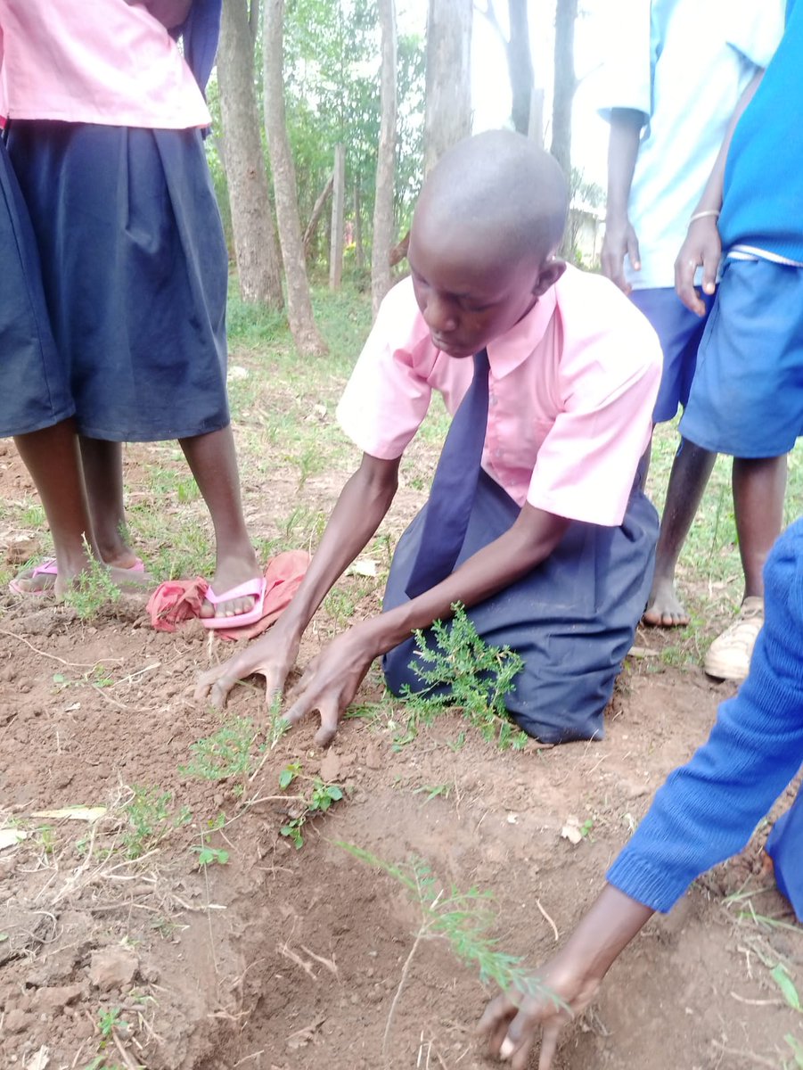 IMasulya's tweet photo. Tree planting at ndengelwa primary and secondary we planted over 300 seedlings and had a session of #ClimateEducation  taught them the #treeadaptation method... #ClimateEmergency #ClimateAction #ClimateAction https://t.co/I0ta3Lydcu