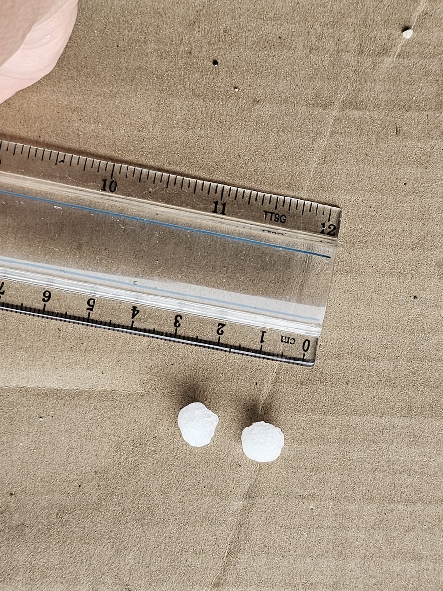 youtah's tweet photo. 1/4" (~1cm) hail in Lehi, UT.

#UTWX #WX #WXTwitter #wxgeeks https://t.co/fz3mARvdjD