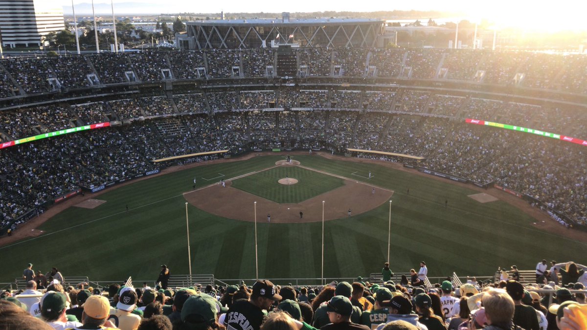 metta_world_mat's tweet photo. ‘BuT tHE a’S hAVe nO FaNS’ 

Some pics I took from the second to last row of Mount Davis @ the 2019 Wild Card Game #Athletics 

John Fisher and @DaveKaval are LOSERS https://t.co/AWdlzk4e98