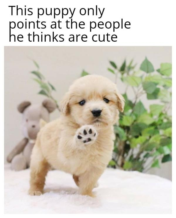 WholesomeMeme's tweet photo. https://t.co/EFkPAQzmc5