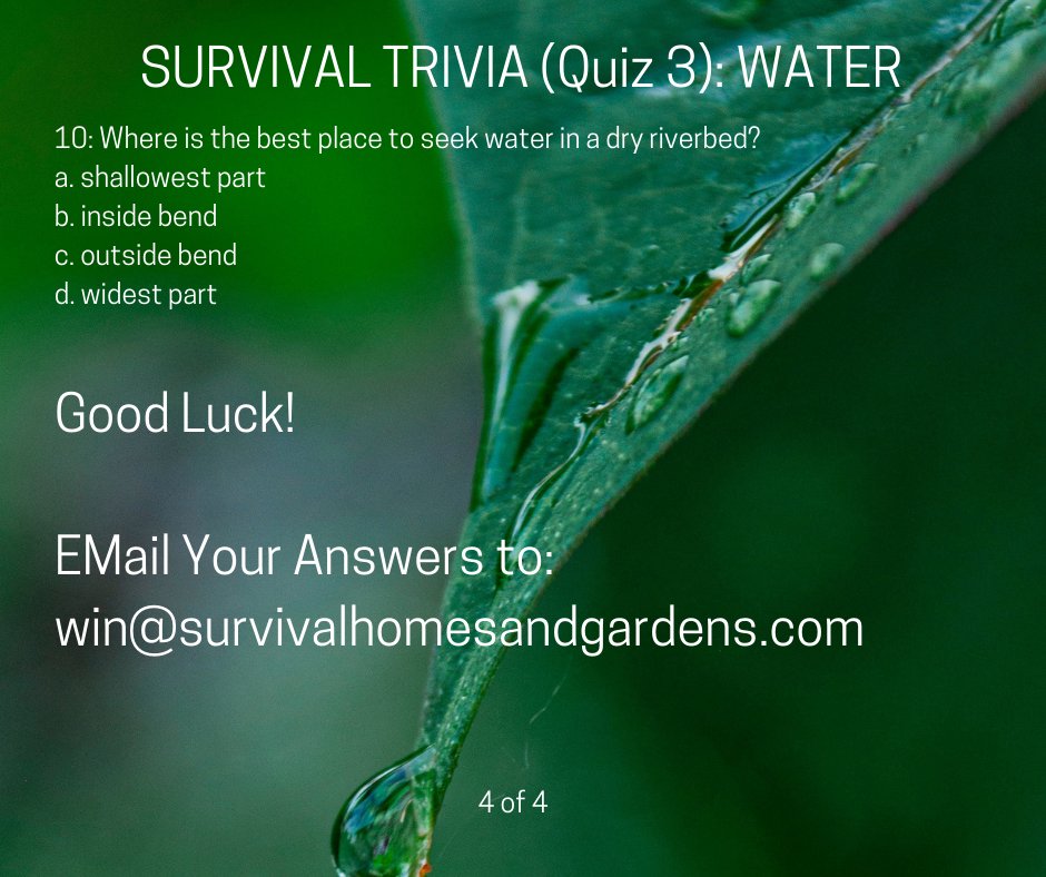 Survival Homes and Gardens tweet media