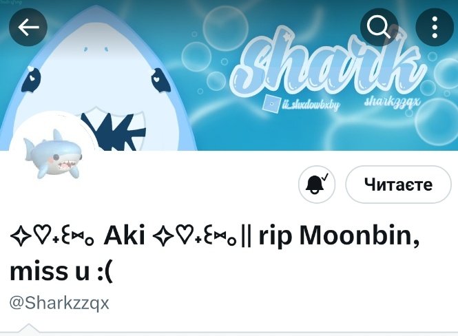sophie tweet media