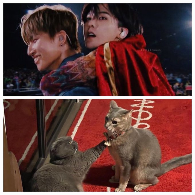 Every BB member, literally 💕💕💕  #GDRAGON  #BIGBANG  @YG_GlobalVIP https://t.co/8G95G73sYZ<a href="/tag/gdragon"class="tags">#GDRAGON</a><a href="/tag/bigbang"class="tags">#BIGBANG</a>