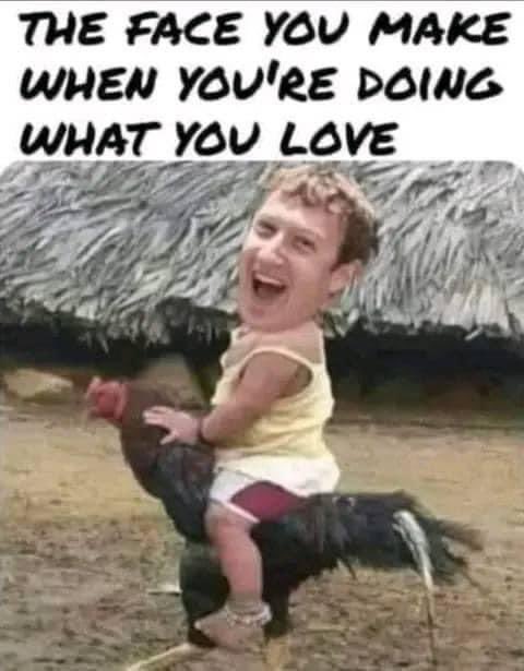 Oh look! Zuckerbucks is riding a cock! 🤷‍♂️🤣🤣🤣