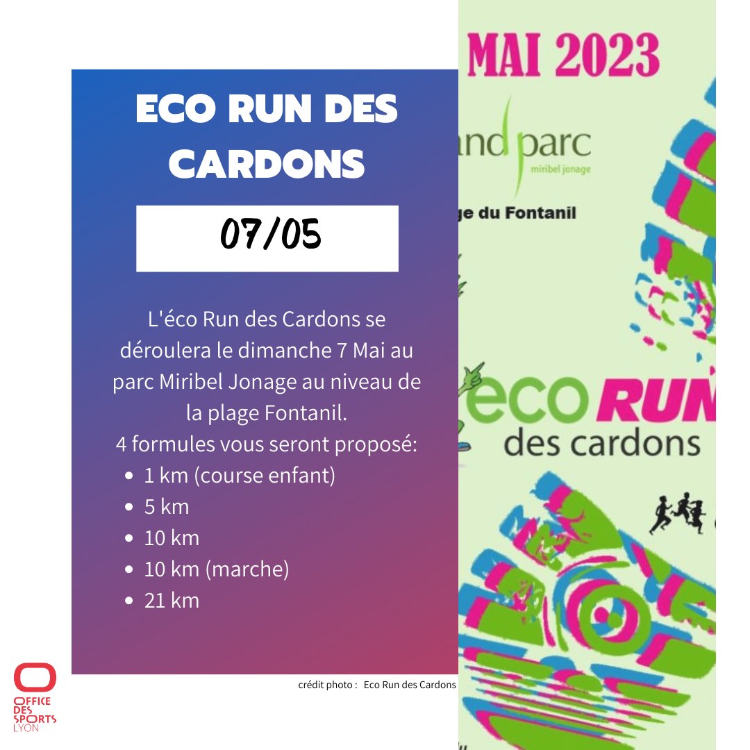 Sport à Lyon - OSL tweet media