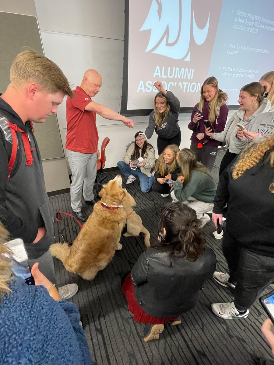 MurrowCollege's tweet photo. Happy #MurrowMonday
We were lucky to have #DashDog as a guest Paw-fessor in @kschotz COM 380 class! Dash Dog, and the new puppy - Chase, are also WSU "ambassa-dogs." Owner, and Coug Alumni, Ande Edlund talked to students about what they can do for their personal brand! https://t.co/xTkCOpQBXj