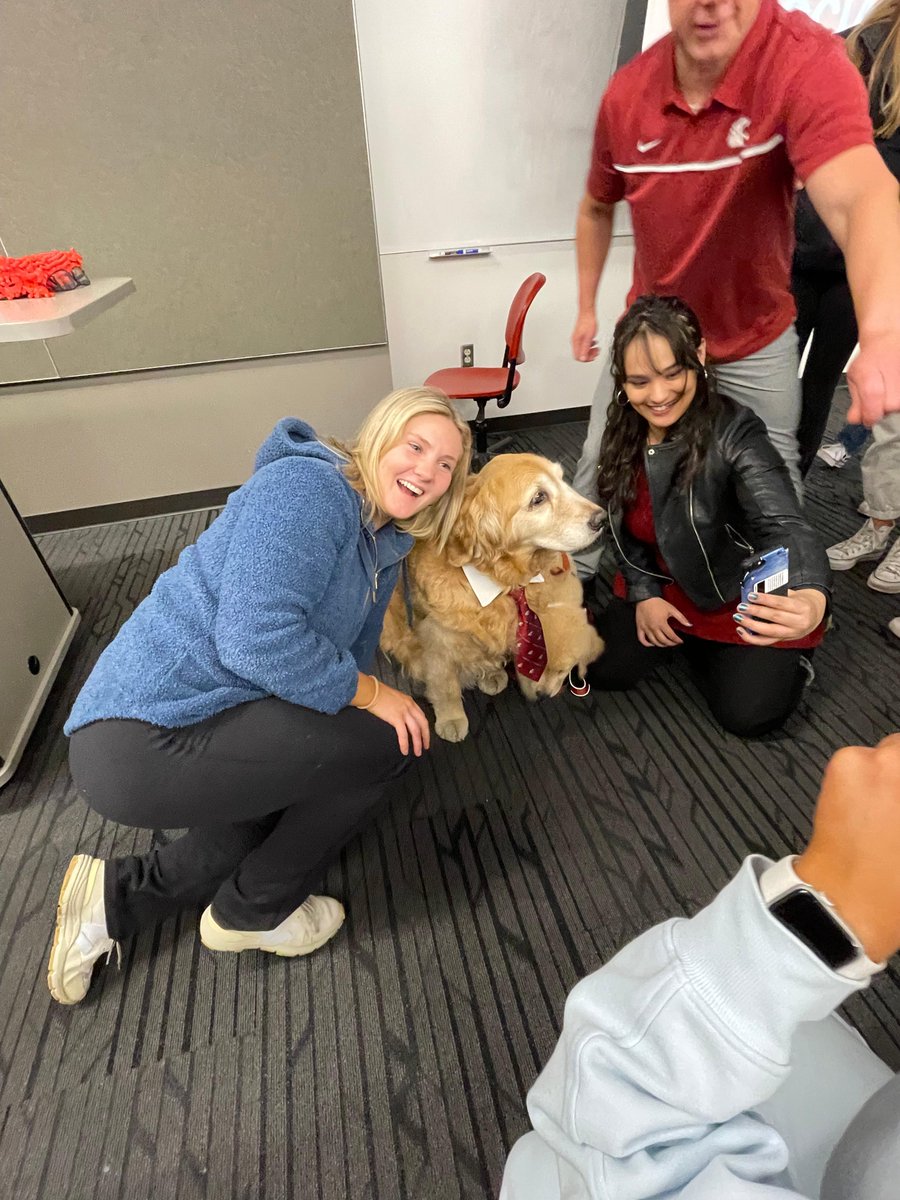 MurrowCollege's tweet photo. Happy #MurrowMonday
We were lucky to have #DashDog as a guest Paw-fessor in @kschotz COM 380 class! Dash Dog, and the new puppy - Chase, are also WSU "ambassa-dogs." Owner, and Coug Alumni, Ande Edlund talked to students about what they can do for their personal brand! https://t.co/xTkCOpQBXj