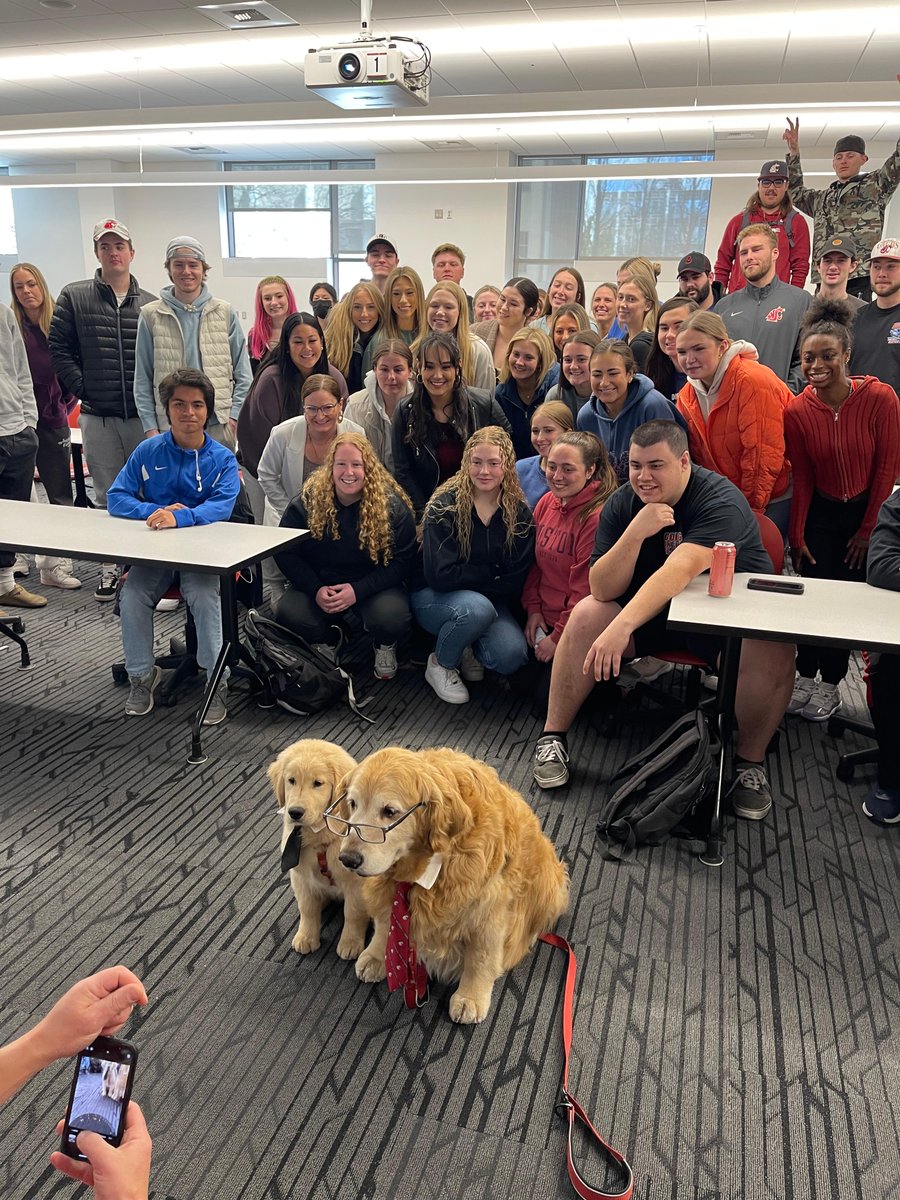 MurrowCollege's tweet photo. Happy #MurrowMonday
We were lucky to have #DashDog as a guest Paw-fessor in @kschotz COM 380 class! Dash Dog, and the new puppy - Chase, are also WSU "ambassa-dogs." Owner, and Coug Alumni, Ande Edlund talked to students about what they can do for their personal brand! https://t.co/xTkCOpQBXj