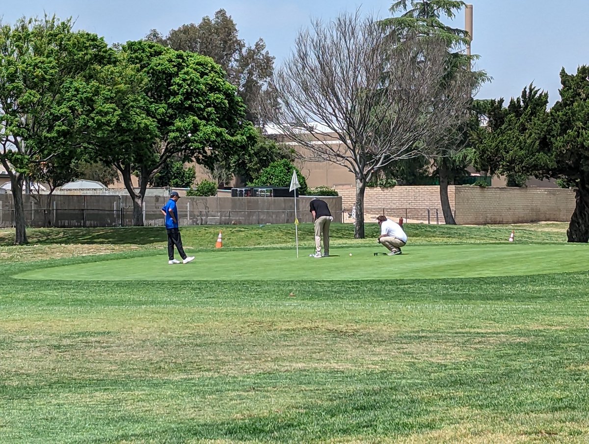 Heather Freeman tweet media