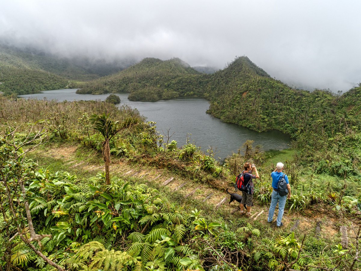 Invest_Dominica's tweet photo. Dominica, #TheNatureIsland of the Caribbean has been nominated for 2 awards by World Travel Awards!
VOTE NOW for Dominica the Caribbean's Leading Nature Destination &amp; Leading Adventure Tourism Destination below!
https://t.co/ZoCCgwLgY1

📷: Discover Dominica https://t.co/vS0thvyufZ