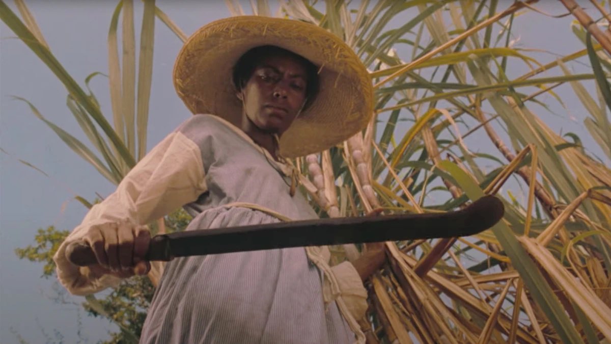 rainer🌹 tweet media