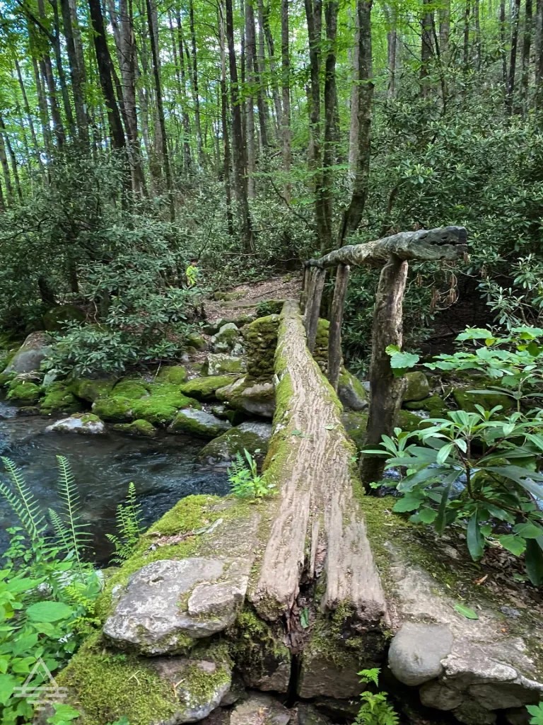 TripsTipsTees's tweet photo. These footbridges are so fun! 

https://t.co/t68Uf1mjog https://t.co/FtywwBOyaz