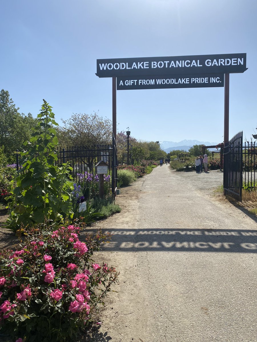 Rachel Surls tweet media