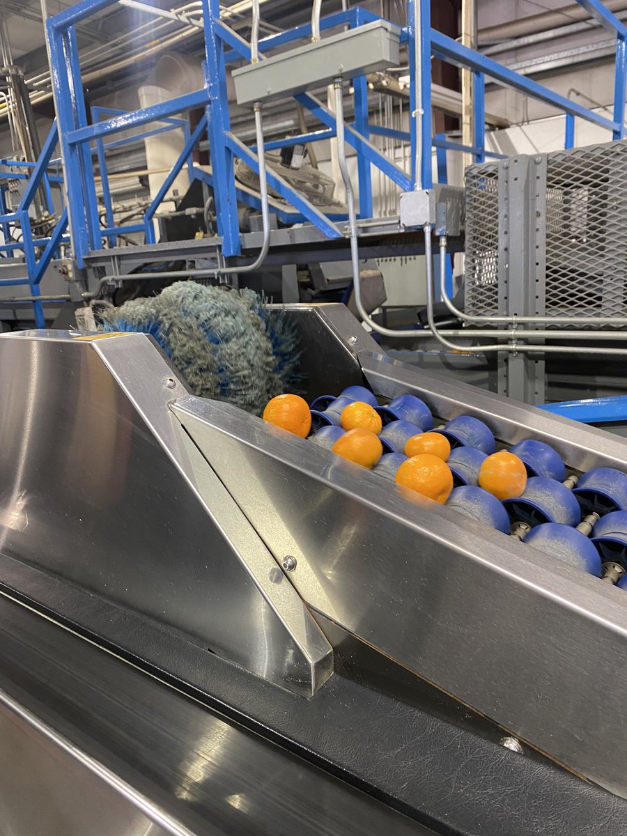 Rachel Surls tweet media