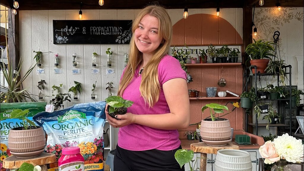 youtu.be/hxFryUBAlGc Houseplant of the Week!!! 🌱
—
Watch this video to learn how to care for the very rare ✨Thai Constellation Monstera✨