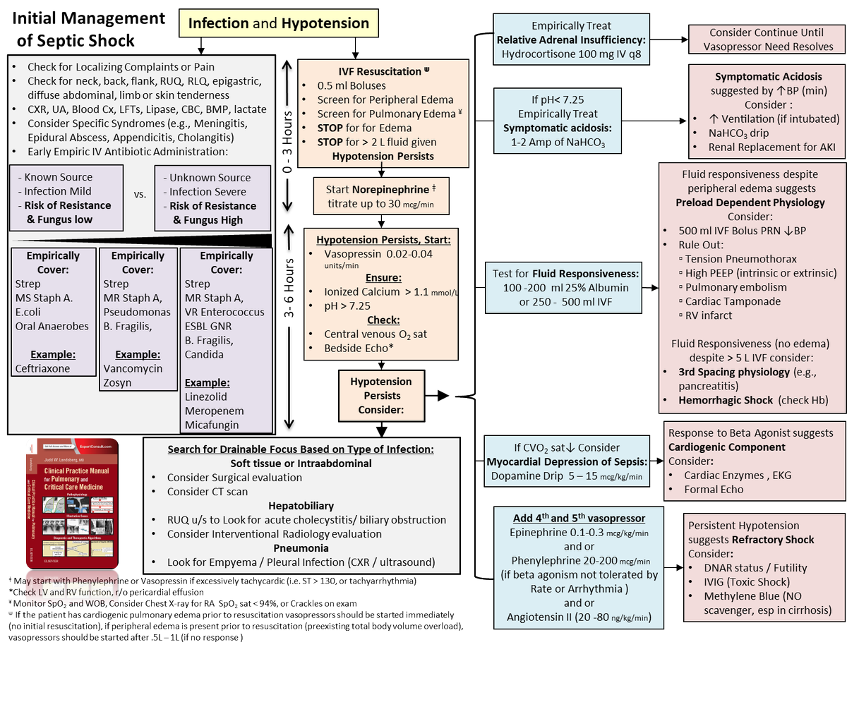 Thank you to <a href="/OrlandoRPN/">Orlando RPN</a> and your followers, 
Ver. 2
Initial Evaluation and Management of Septic Shock 
#sepsis #SHOCK #emergencymedicine #MedEd #MedTwitter #hospitalist #internalmedicine #criticalcare #pulmonary #infectiousdiseases #pccm #icunurse PRTIYL #anesthesiology
