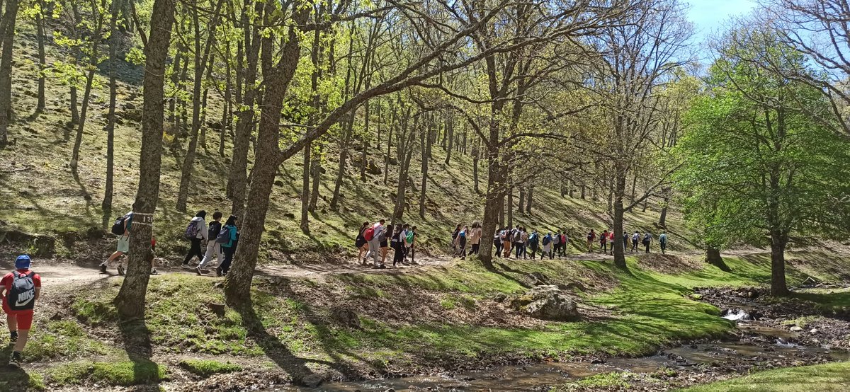 iesalonsodemad1's tweet photo. Hoy, el alumnado de 2°ESO ha realizado una ruta de senderismo muy bonita. 
La senda de San Gregorio y el Castañar del Tiemblo.
¡¡Lo han dado todo, y podemos dar fe de que están muy FIT!!

💪💪💪 https://t.co/0vyLMaD6me