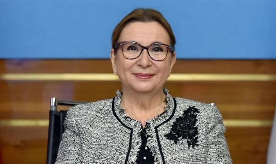 Bu arada, şu an gündemde değilsin diye seni unuttuk sanma dezenfektancı ⌛️