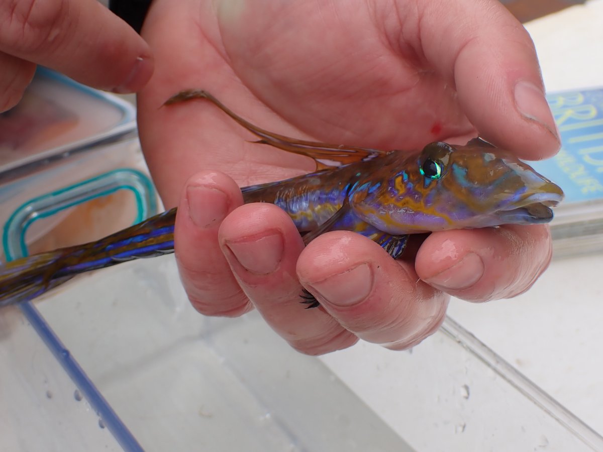 FSC Scotland tweet media