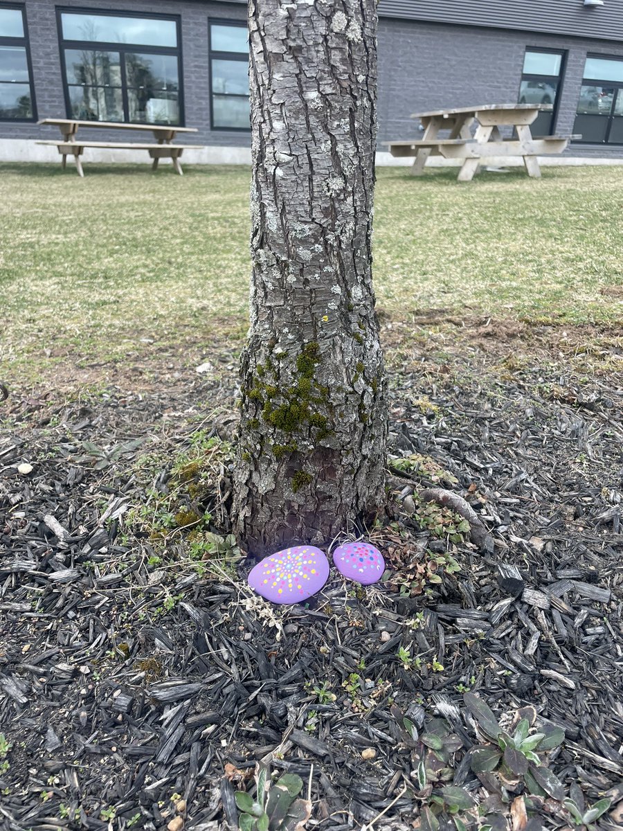 My Yoga 11 classes at <a href="/CPAHighSchool/">CPA High School</a> are quite the artists! I just love all of the beautiful pieces they created on our rock painting activity day 💕 Some students even placed theirs outside of the school today to hopefully bring a smile to people’s faces as they see them 🥰