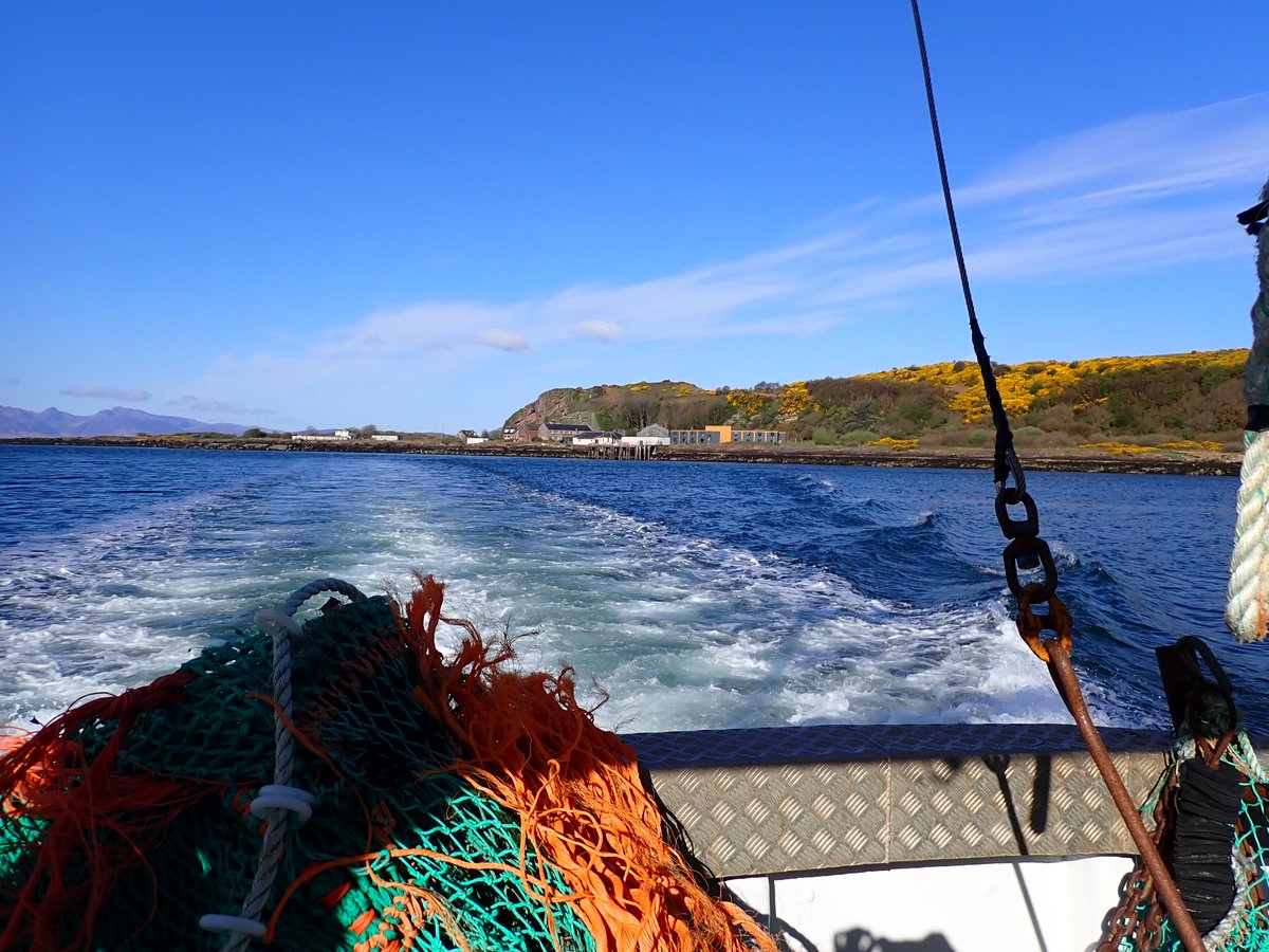 FSC Scotland tweet media