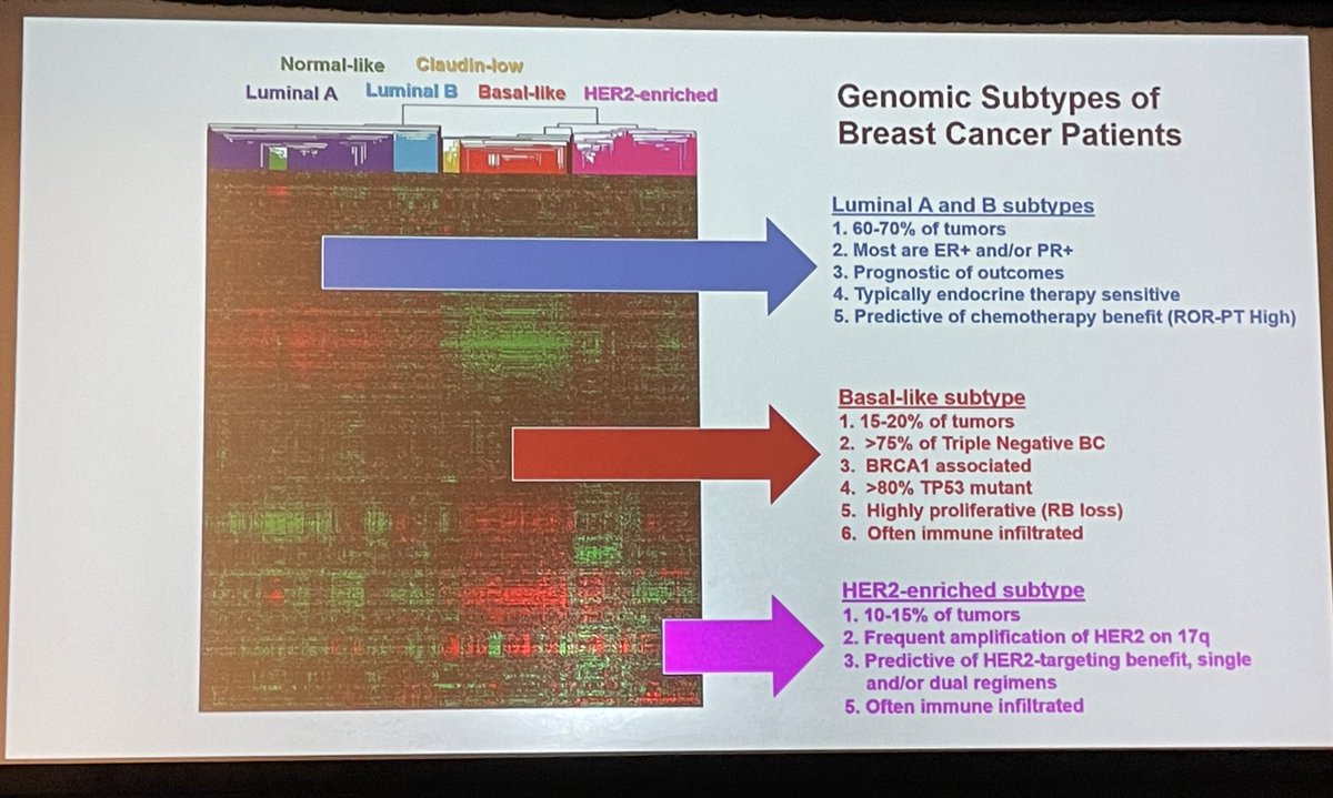 paspears88's tweet photo. Perou @UNC_Lineberger Know your molecular subtype….Actually know the molecular (genomic/intrinsic) subtype of your cancer!
We know our cancers clinical subtype .., get to know the molecular subtype!
#clinicalutility #bcsm #gyncsm @UNCBreastSPORE https://t.co/3b6FVJfOYB