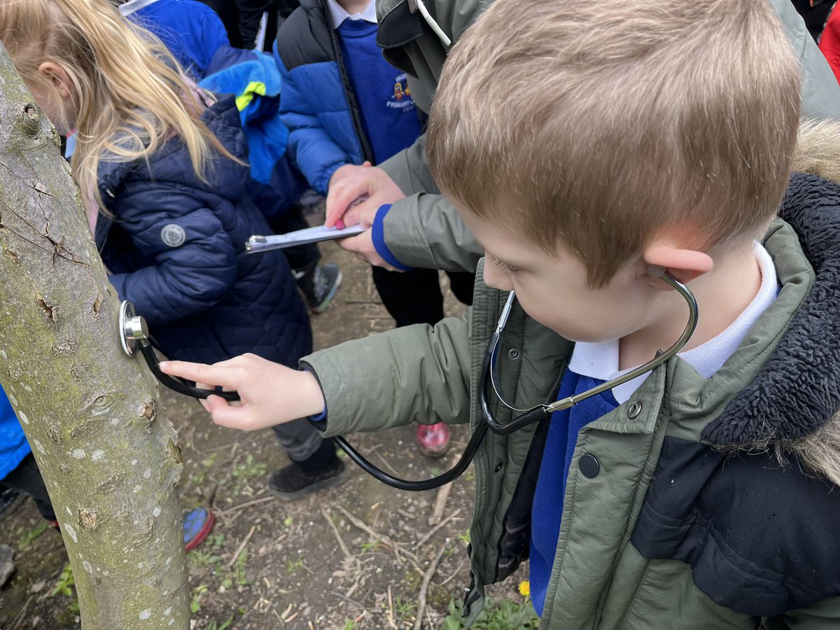 HighViewY1's tweet image. We identified many different types of flowers and leaves from trees.