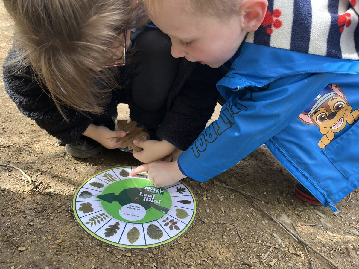 HighViewY1's tweet image. We identified many different types of flowers and leaves from trees.